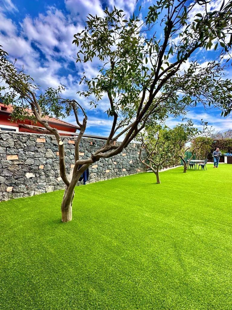 120sqm 2 bedroom, 2 bathroom Apartamento in Mascalucia Exterior foto